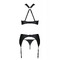 Комплект нижньої білизни в сіточку AMANDA SET black S/M - Passion
