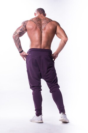 Спортивні штани Nebbia DROP CROTCH 729 Bordo