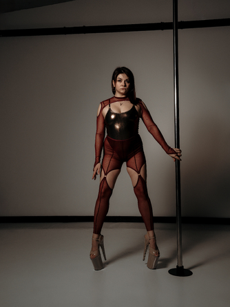 FRAME LEGGINS Burgundy mesh_ сітка бордо
