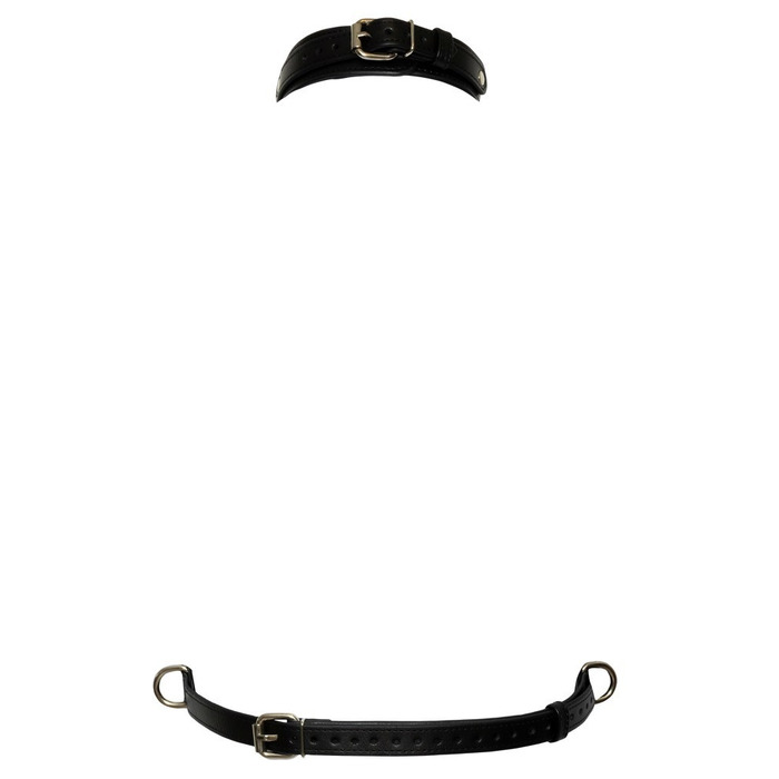 Портупея на грудь с кольцами Bad Kitty, черная, размер S-L