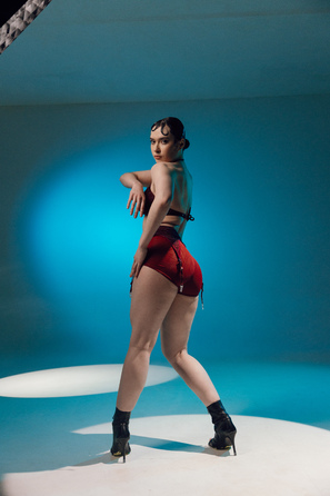 STARDUST top Burgundy shine_ бургунді стрази