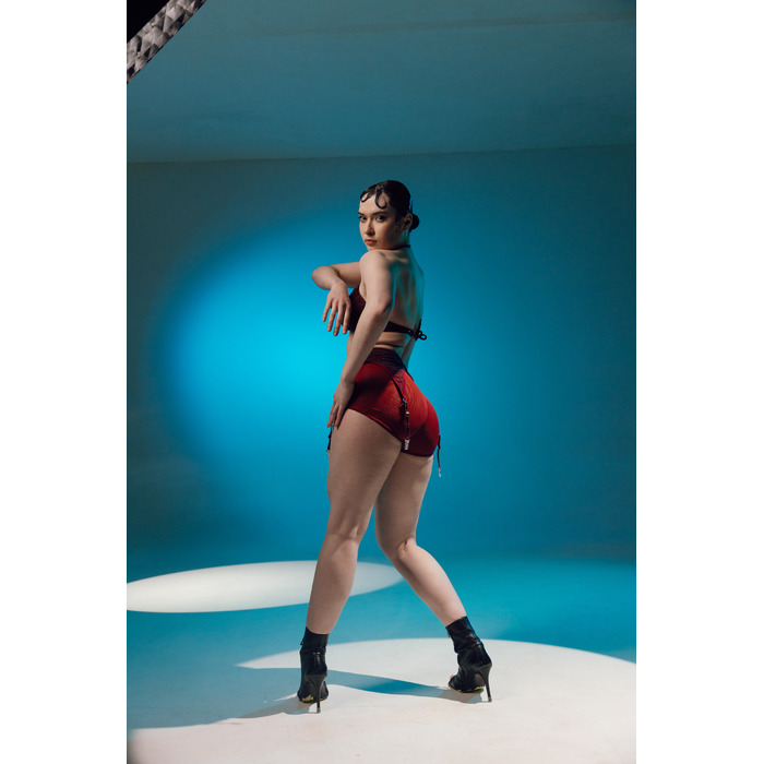STARDUST top Burgundy shine_ бургунді стрази