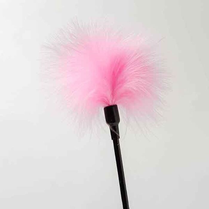 Перышки Для Шалостей Long Handle, Pink
